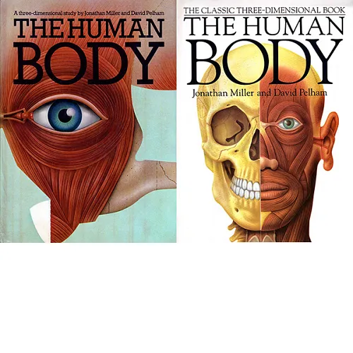 人體解剖立體書｜The Human Body