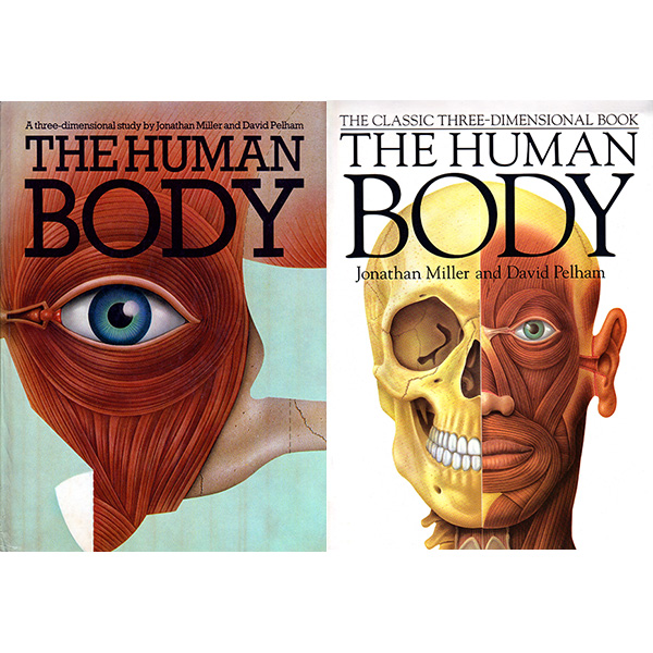 人體解剖立體書｜The Human Body