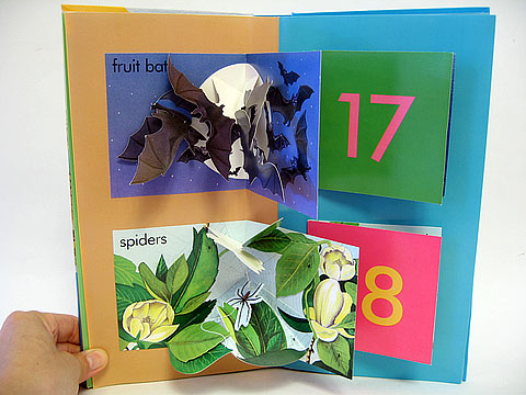 數數書 - 數生物|Counting Creatures 數數書 - 數生物|Counting Creatures