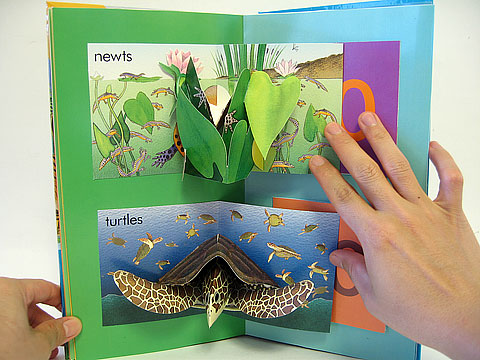 數數書 - 數生物|Counting Creatures 數數書 - 數生物|Counting Creatures