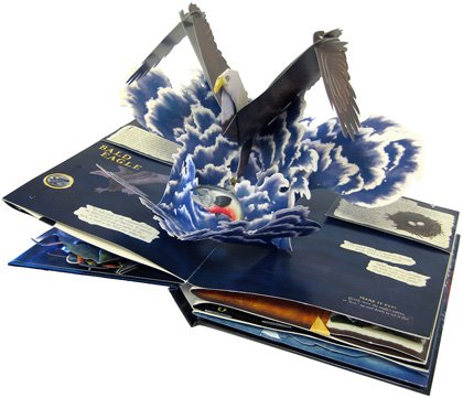 掠食者搖搖卡立體書｜Predators Swing Pop-up Book