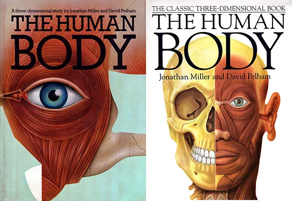 人體解剖立體書｜The Human Body