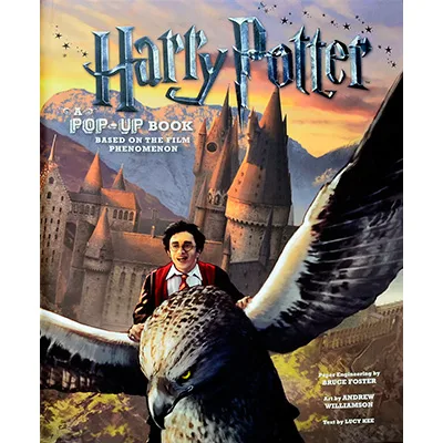 Harry Potter Film Phenomenon cover 2